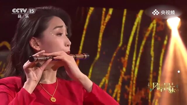 孙艺帧演奏《云水谣》,自然之曲,孙艺帧用音乐演奏传递云水谣的恬淡与传世