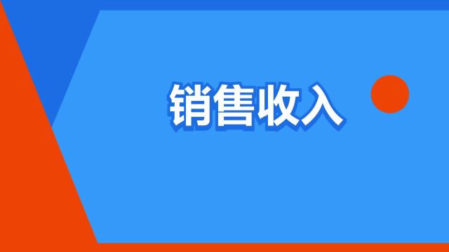 “销售收入”是什么意思?