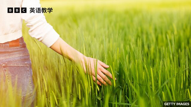 BBC地道英语:用 touch grass 表示“回归生活,出去走走”