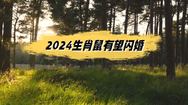 2024生肖鼠有望闪婚