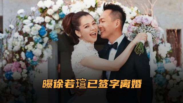 曝徐若瑄已签字离婚,与富商老公结束9年婚姻,性格不合长期分居