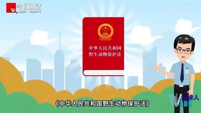 保护野生动物动真格!一起学习新修订的《中华人民共和国野生动物保护法》