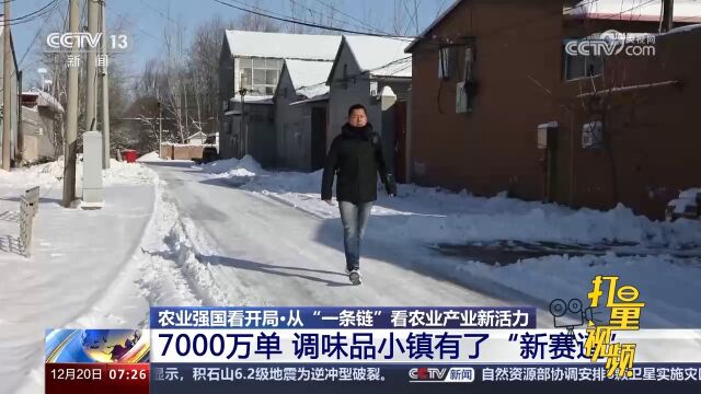 7000万单!调味品小镇有了“新赛道”