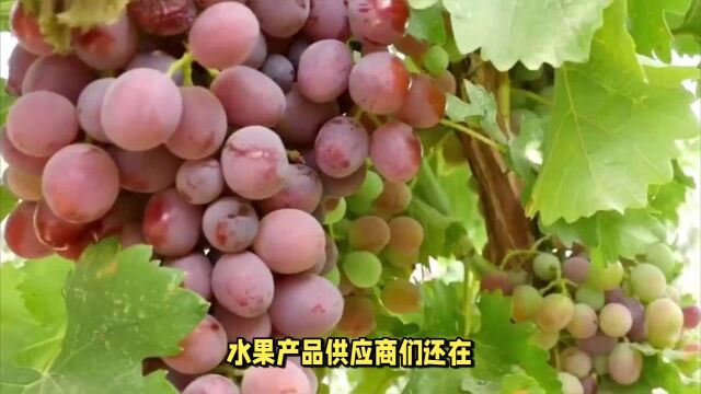 荣昌水果网平台正式入驻腾讯启航