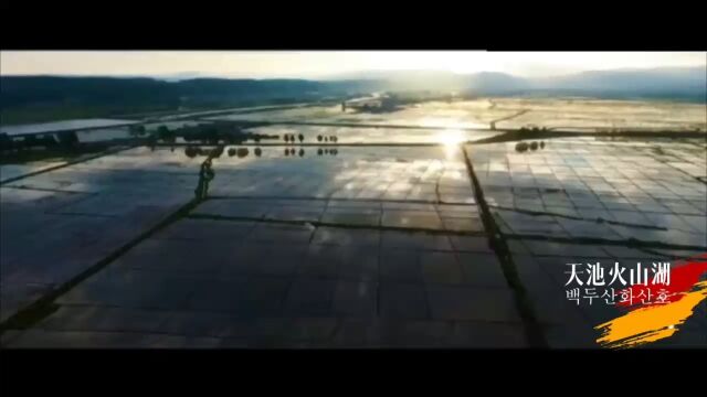 天池火山湖火山米,喝矿泉水长大的唐贡米,火山岩米!