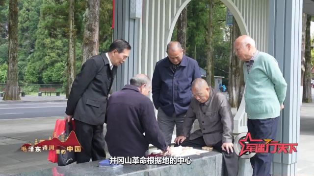 走进井冈山革命根据地的中心——茨坪