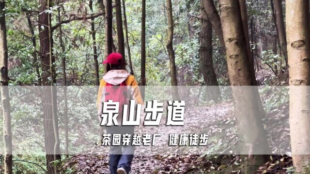 城区徒步推荐泉山步道,茶园穿越南山老厂,全程都是老石板路,新手和亲子都可以轻松驾驭