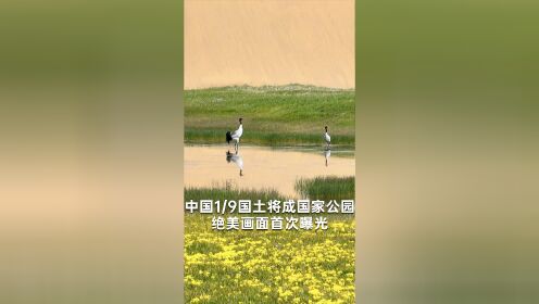 中国1/9国土将成国家公园，绝美画面首次曝光