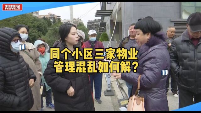 帮忙直通车:一个小区三个物业“管家”?业主急盼解决管理乱象