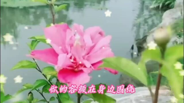 音乐情感风景