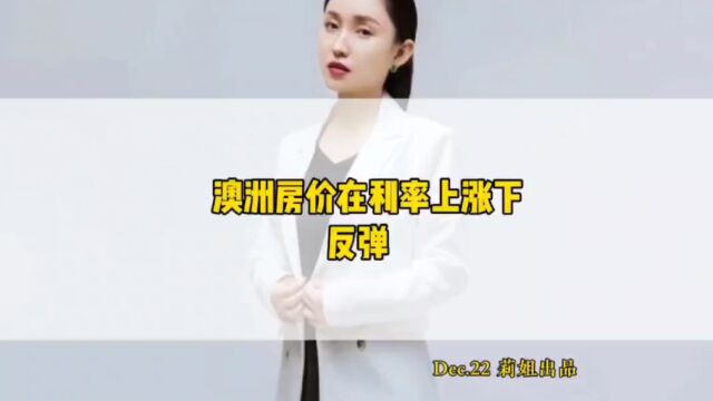 澳洲房价在利率上涨下反弹#地产莉姐#房地产#澳洲房产