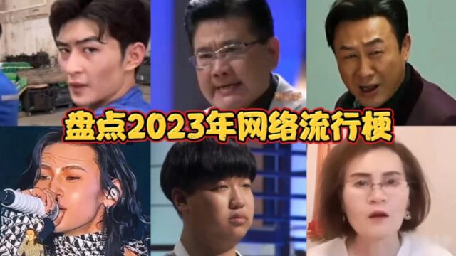 盘点2023年网络流行梗!九转大肠、泰裤辣、完颜慧德你知道几个?