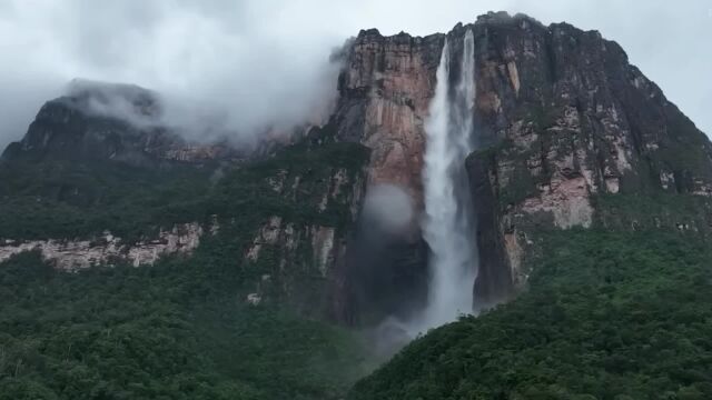 夹岸高山,皆生寒树,负势竞上,互相轩邈