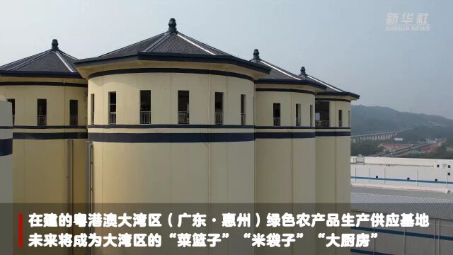 粤港澳大湾区(广东ⷮŠ惠州)绿色农产品生产供应基地建设顺利推进