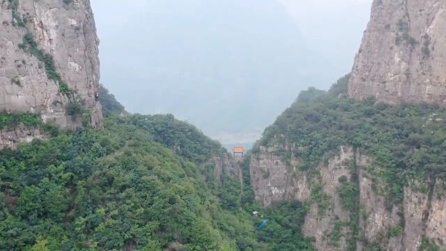 中国猴山济源五龙口,地球纬度最北的猕猴王国,看山看水看猕猴去看不一样的济源老家河南