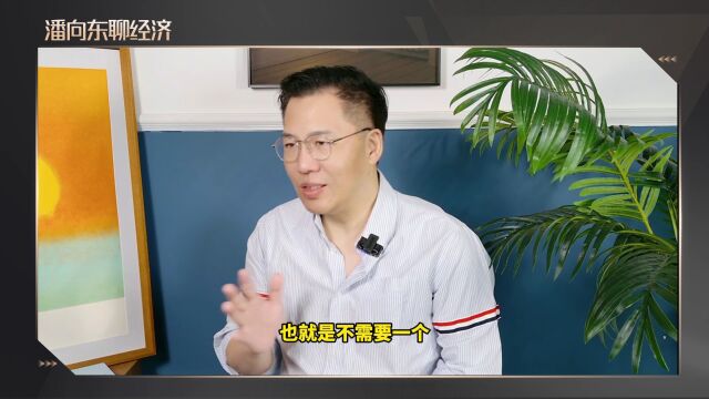 潘向东聊经济|解决地方债最好的途径,启动体制改革