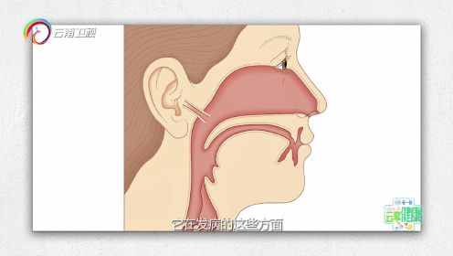 《云享健康》第71期：盘点儿童耳鼻喉的常见病