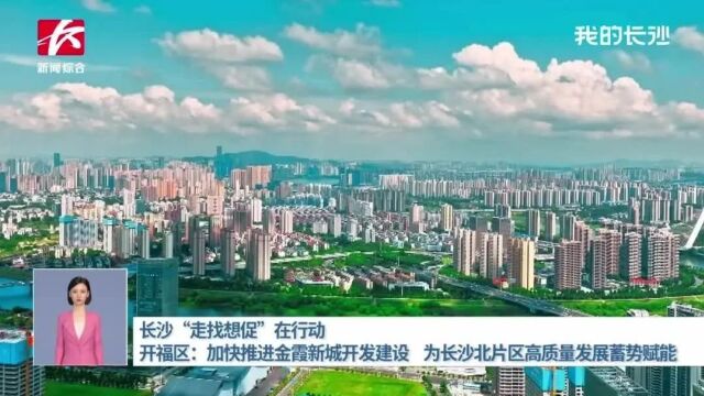 开福区加快推进金霞新城开发建设 为长沙北片区高质量发展蓄势赋能