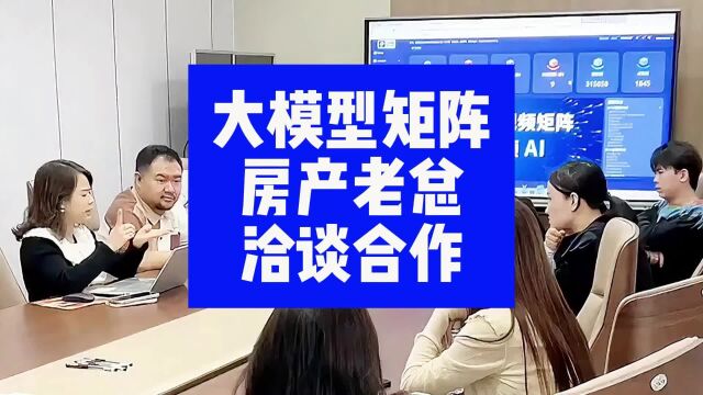 大模型矩阵:房产老总到公司洽谈矩阵合作