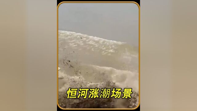 监控下惊险的一幕,河水突然涨潮,吓的众人连连后退!#社会百态