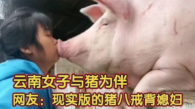 云南女子与猪为伴,网友:现实版的猪八戒背媳妇!