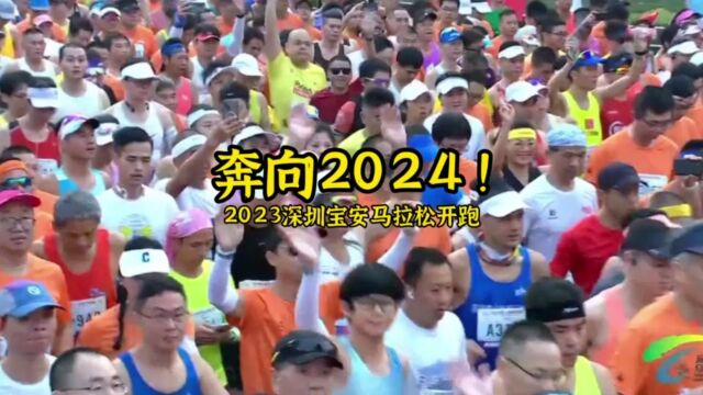 晶视频丨奔向2024!2023深圳宝安马拉松开跑