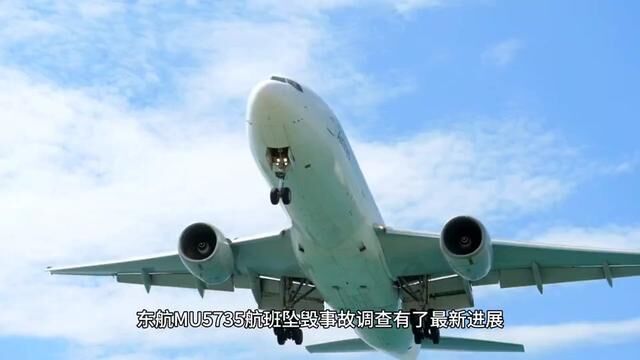 东方航空MU5730客机坠毁的原因公布?