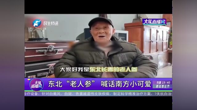 东北“老人参”喊话南方小可爱