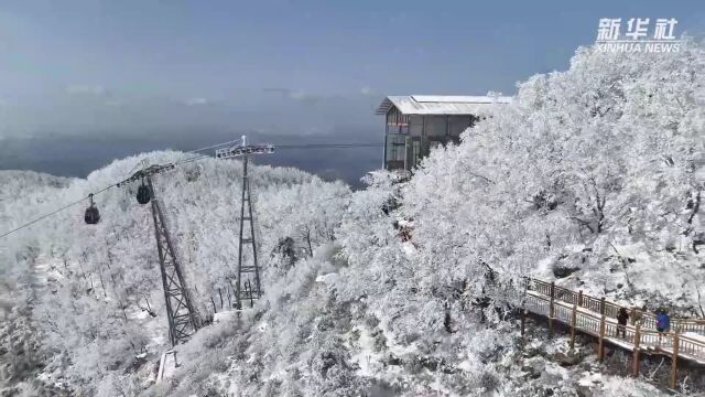 千城胜景|山东临朐:云海与雾凇的邂逅