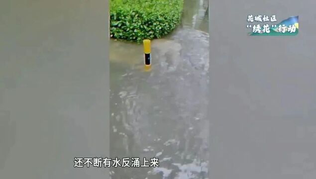 从源头入手,长效解决,花城社区绣花行动根治“水浸街”