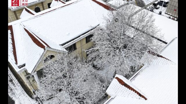 视频 大众日报社济宁分社雪景