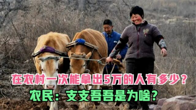 在农村一次能拿出50000的人有多少?听听农民怎么说