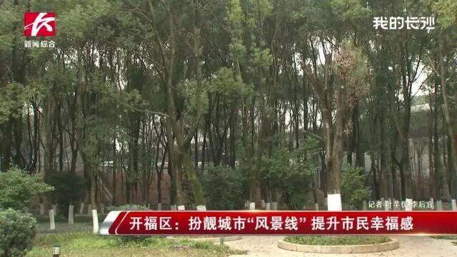 开福区:扮靓城市“风景线” 提升市民幸福感