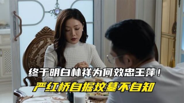 黑土无言:终于明白林祥为何效忠王萍!严红桥自掘坟墓不自知