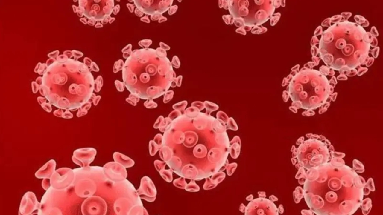 英媒:科学家宣布成功切除细胞中的艾滋病毒