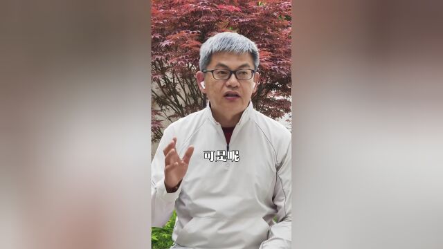 苏群:湖人遭绝杀功亏一篑 丢良机前景不妙 体能是最大问题