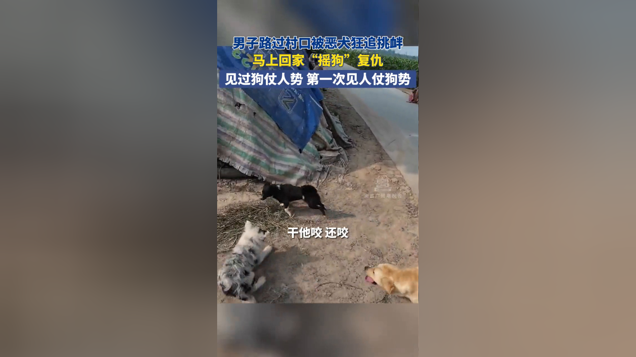 男子路过村口被恶犬狂追挑衅,马上回家摇狗复仇