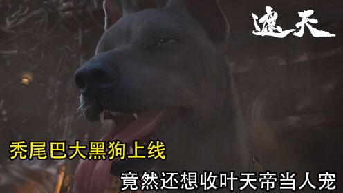 遮天:秃尾巴大黑狗上线?竟然还想收叶天帝当人宠?