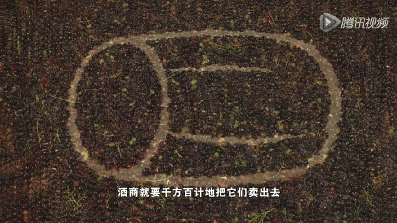 美酒传奇 10集