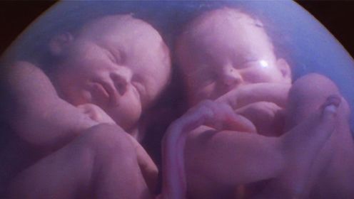 子宫日记：生命保卫战！努力抢救腹中胎儿的妈妈
