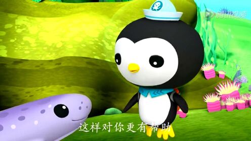 海底小纵队合集 与皇带鱼_高清1080p在线观看平台_腾讯视频