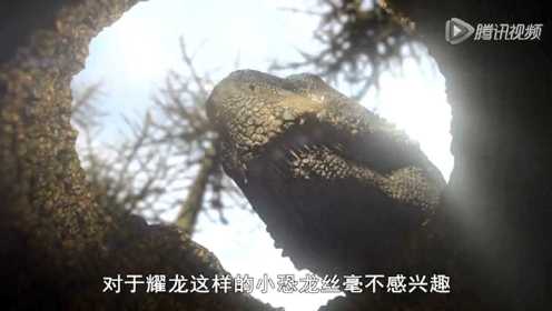 BBC纪录片恐龙星球第三集