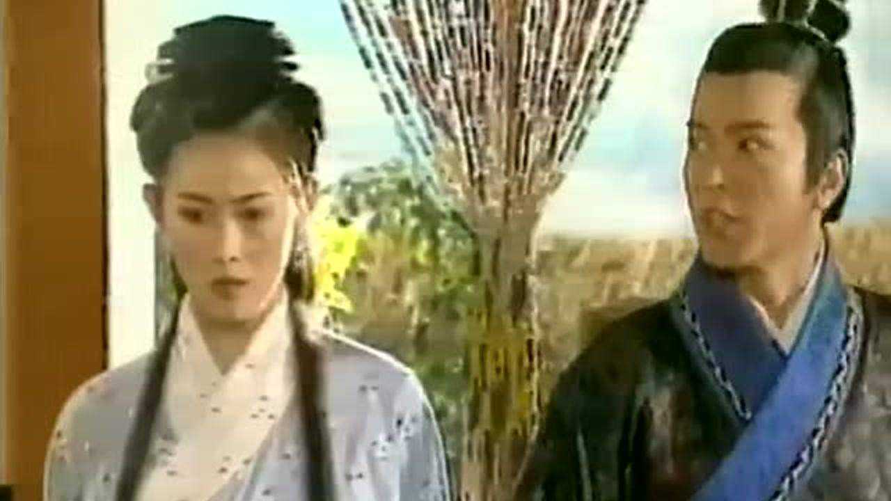 赵氏孤儿 29集