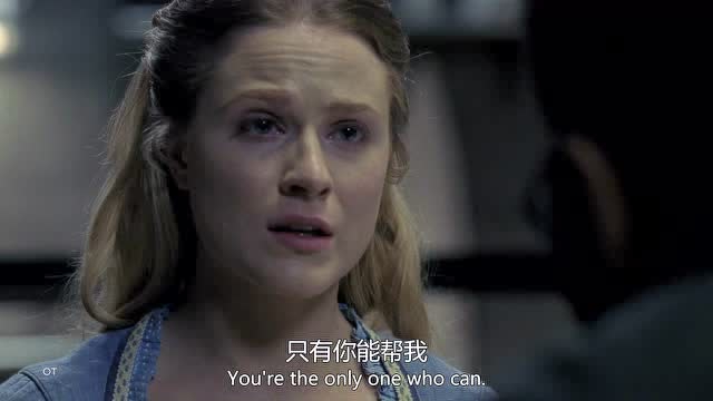 西部世界 第一季 9集