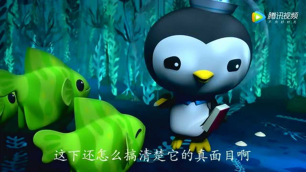 海底小纵队第4季:海底小纵队启动海底报告—海藻怪物迷案_高清1080p