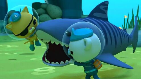 海底小纵队合集 虎鲨_高清1080p在线观看平台_腾讯视频