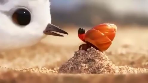 Watch a Bird Overcome Fear in Pixar’s Heart-Melting New Short Film Piper