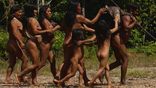 第9集（上）亚马逊丛林的半裸生活，舔吃蚂蚁、毒箭捕猴