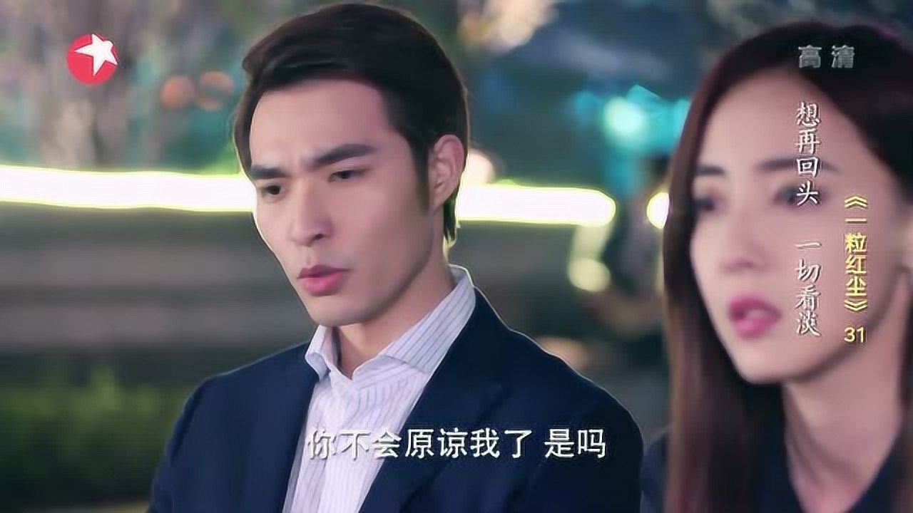 一粒红尘 31集