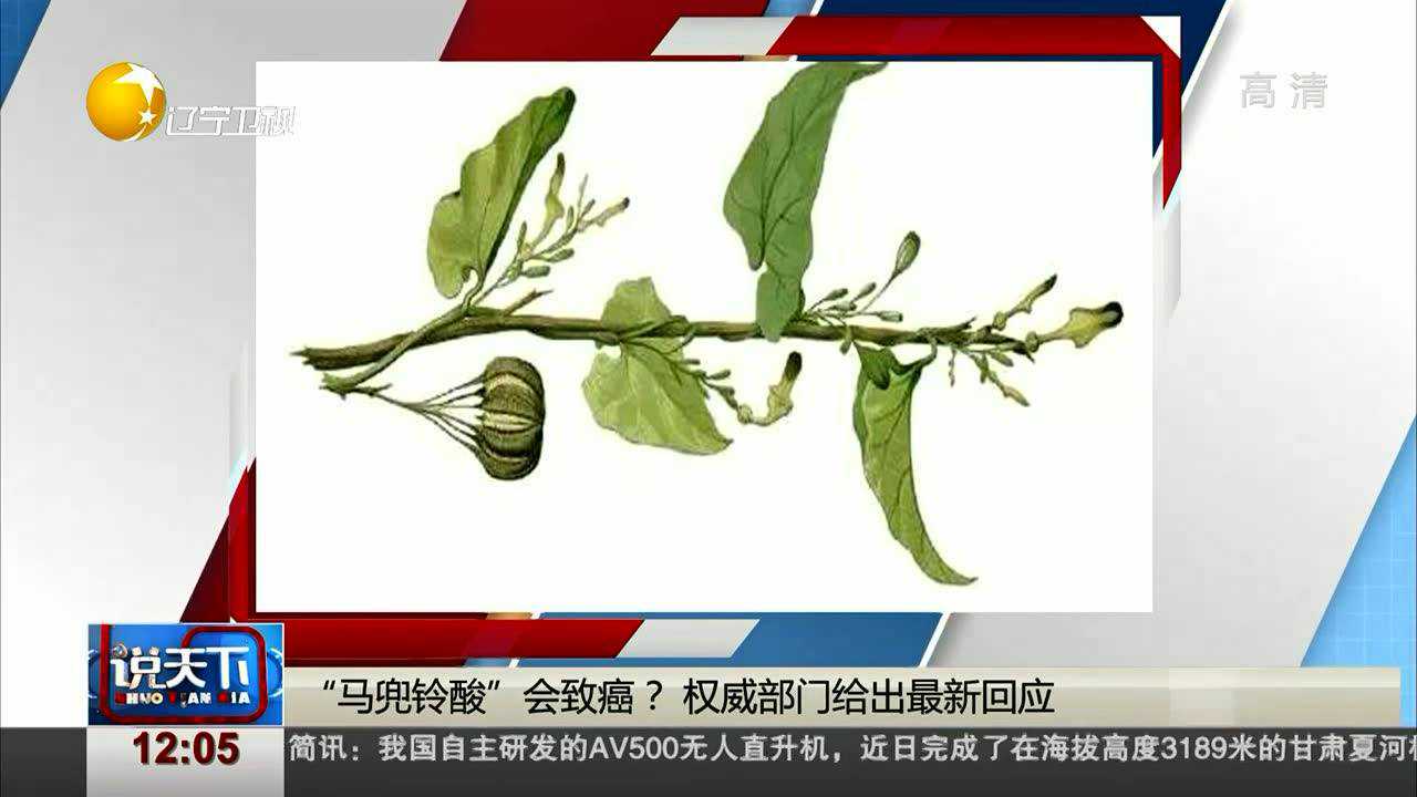 马兜铃酸会致癌权威部门给出最新回应
